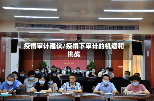 疫情审计建议/疫情下审计的机遇和挑战-第1张图片