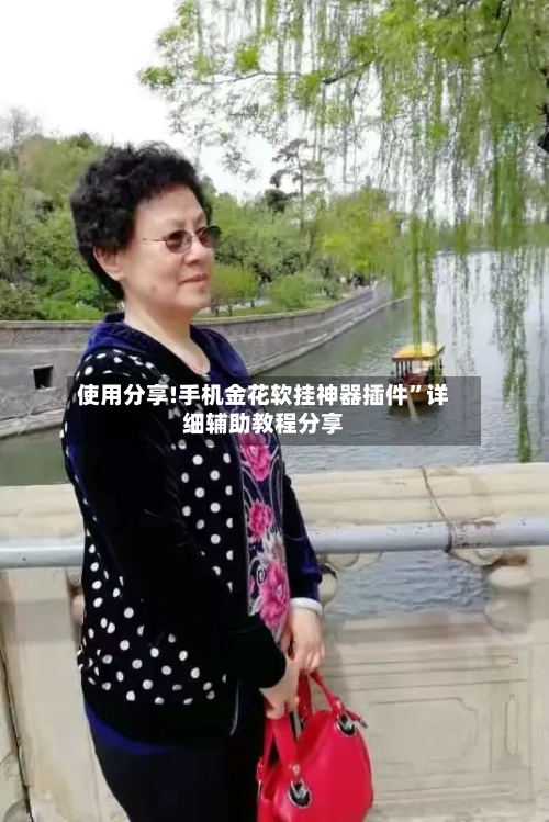 使用分享!手机金花软挂神器插件”详细辅助教程分享