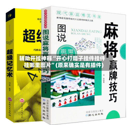 辅助开挂神器“开心打筒子挂件挂件挂哪里图片	”(原来确实是有插件)-第1张图片