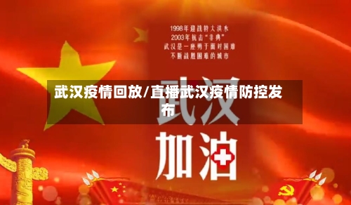 武汉疫情回放/直播武汉疫情防控发布-第2张图片