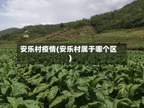 安乐村疫情(安乐村属于哪个区)-第1张图片