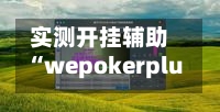 实测开挂辅助“wepokerplus透视辅助	”详细分享装挂-第1张图片