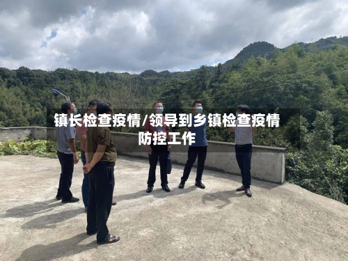 镇长检查疫情/领导到乡镇检查疫情防控工作-第1张图片
