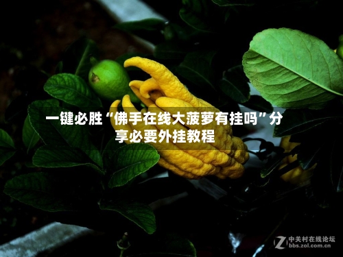 一键必胜“佛手在线大菠萝有挂吗”分享必要外挂教程