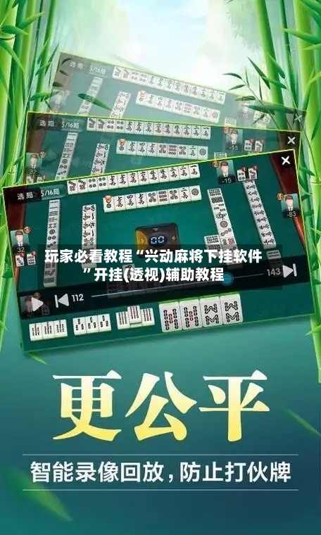 玩家必看教程“兴动麻将下挂软件	”开挂(透视)辅助教程-第2张图片