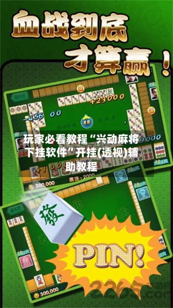 玩家必看教程“兴动麻将下挂软件”开挂(透视)辅助教程-第3张图片