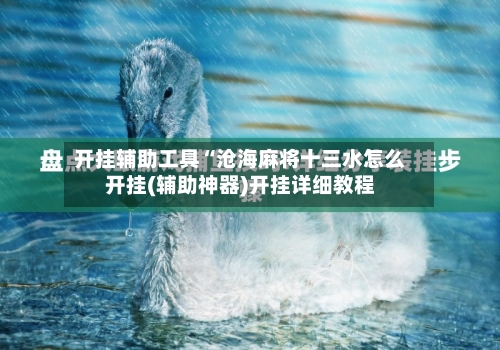 开挂辅助工具“沧海麻将十三水怎么开挂(辅助神器)开挂详细教程