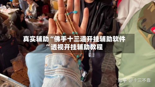 真实辅助“佛手十三道开挂辅助软件”透视开挂辅助教程