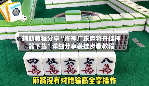 辅助教程分享“雀神广东麻将开挂神器下载”详细分享装挂步骤教程-第3张图片