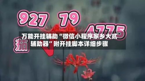 万能开挂辅助“微信小程序家乡大贰辅助器”附开挂脚本详细步骤