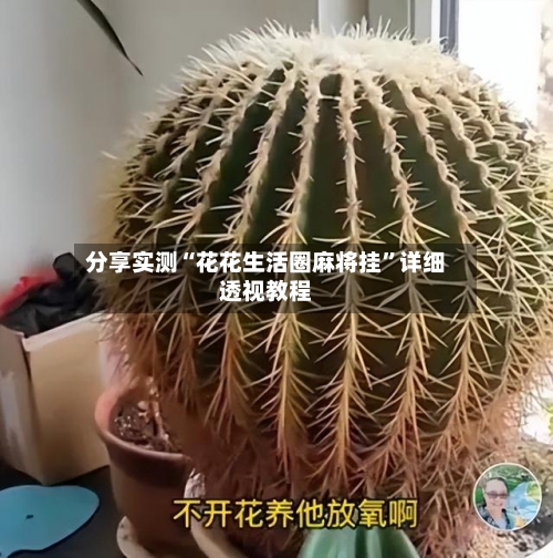 分享实测“花花生活圈麻将挂”详细透视教程-第1张图片