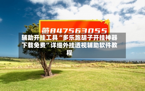 辅助开挂工具“多乐跑胡子开挂神器下载免费”详细外挂透视辅助软件教程