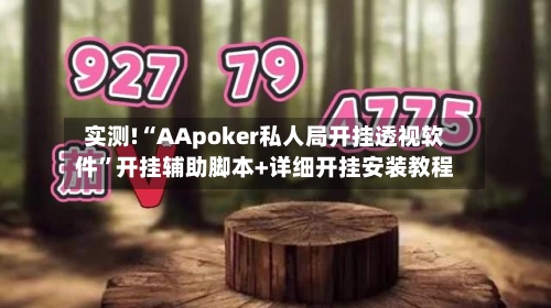 实测!“AApoker私人局开挂透视软件”开挂辅助脚本+详细开挂安装教程