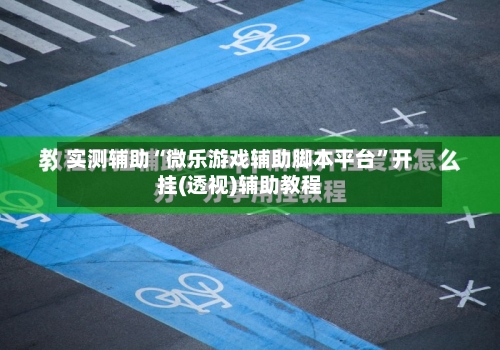 实测辅助“微乐游戏辅助脚本平台”开挂(透视)辅助教程-第1张图片