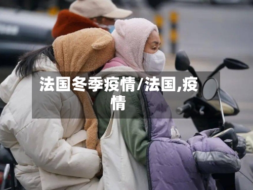 法国冬季疫情/法国,疫情