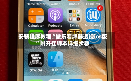 安装程序教程“微乐看牌器透视ios版	”附开挂脚本详细步骤-第2张图片