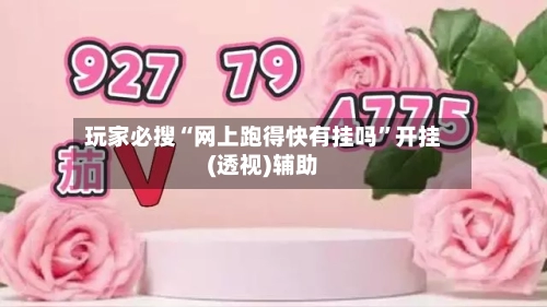 玩家必搜“网上跑得快有挂吗”开挂(透视)辅助-第2张图片