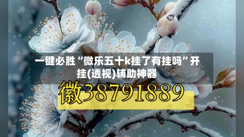 一键必胜“微乐五十k挂了有挂吗”开挂(透视)辅助神器-第1张图片