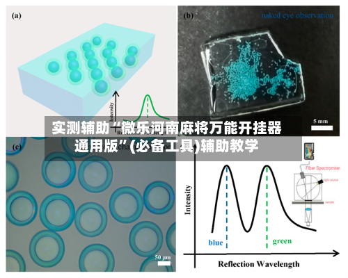 实测辅助“微乐河南麻将万能开挂器通用版	”(必备工具)辅助教学-第2张图片
