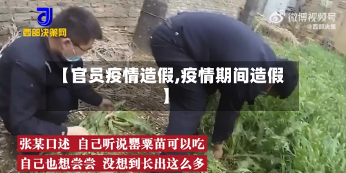【官员疫情造假,疫情期间造假】