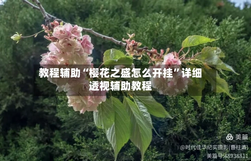 教程辅助“樱花之盛怎么开挂”详细透视辅助教程