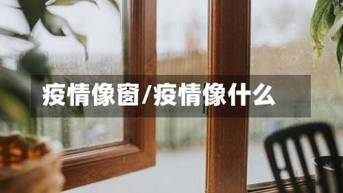疫情像窗/疫情像什么