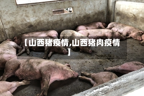 【山西猪疫情,山西猪肉疫情】