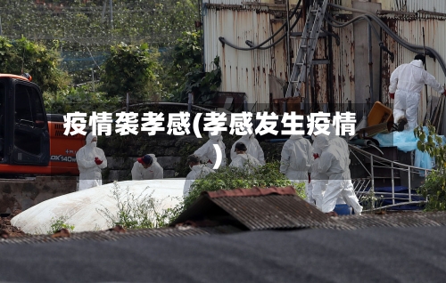 疫情袭孝感(孝感发生疫情)-第1张图片