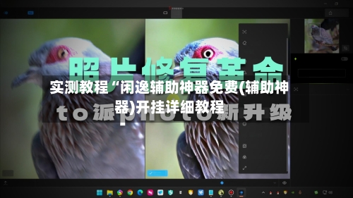 实测教程“闲逸辅助神器免费(辅助神器)开挂详细教程-第1张图片