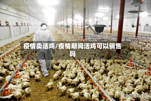 疫情卖活鸡/疫情期间活鸡可以销售吗