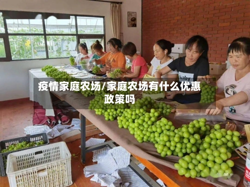 疫情家庭农场/家庭农场有什么优惠政策吗-第3张图片