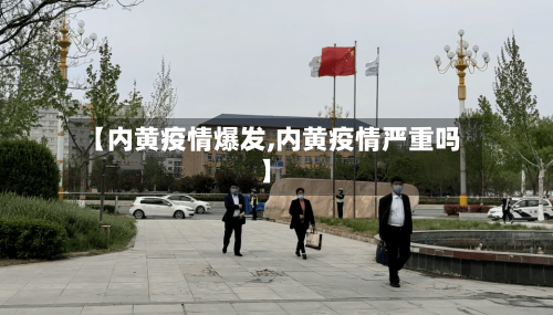 【内黄疫情爆发,内黄疫情严重吗】