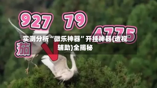 实测分析“微乐神器	”开挂神器{透视辅助}全揭秘-第2张图片