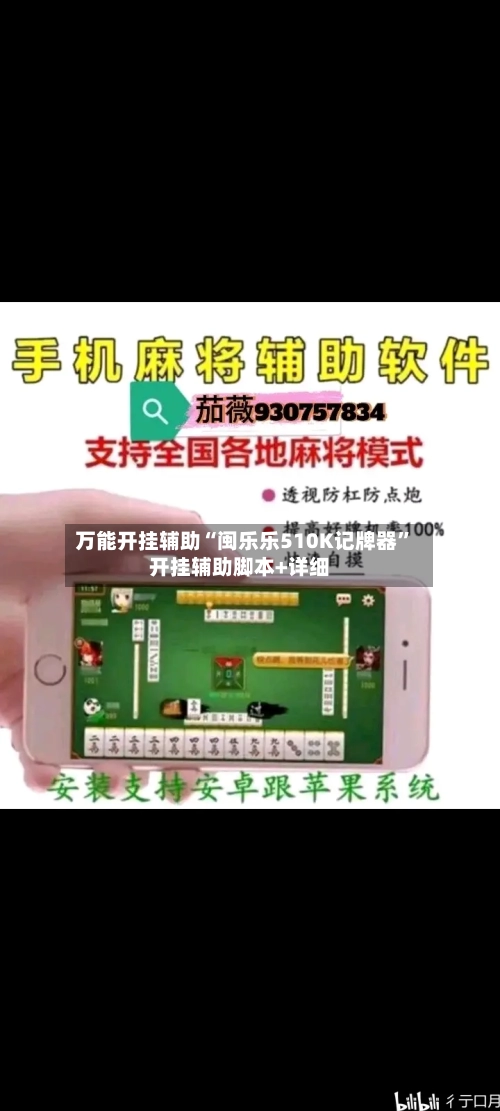 万能开挂辅助“闽乐乐510K记牌器”开挂辅助脚本+详细-第2张图片