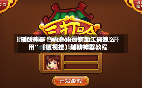 辅助神器“WePoker辅助工具怎么用”（透视挂）辅助神器教程-第3张图片