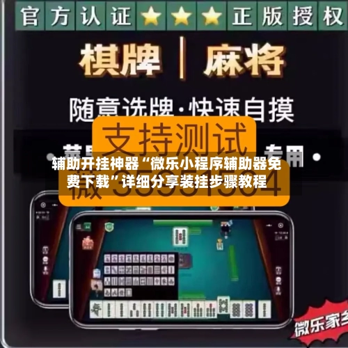 辅助开挂神器“微乐小程序辅助器免费下载	”详细分享装挂步骤教程-第1张图片