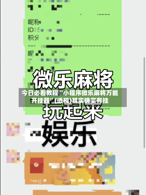 今日必看教程“小程序微乐麻将万能开挂器”(透视)其实确实有挂-第1张图片