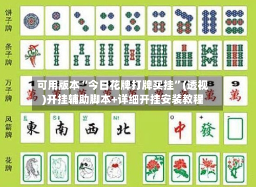 可用版本“今日花牌打牌买挂	”(透视)开挂辅助脚本+详细开挂安装教程-第2张图片