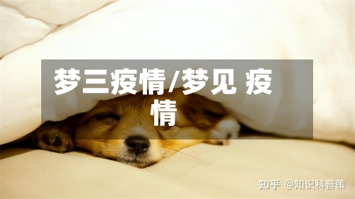 梦三疫情/梦见 疫情