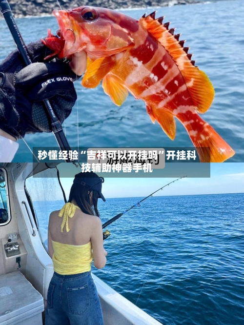 秒懂经验“吉祥可以开挂吗”开挂科技辅助神器手机-第3张图片