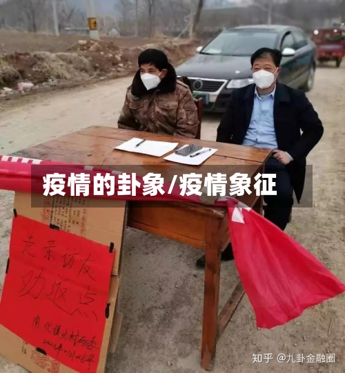 疫情的卦象/疫情象征-第1张图片