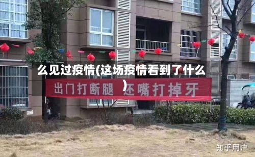 么见过疫情(这场疫情看到了什么)-第3张图片