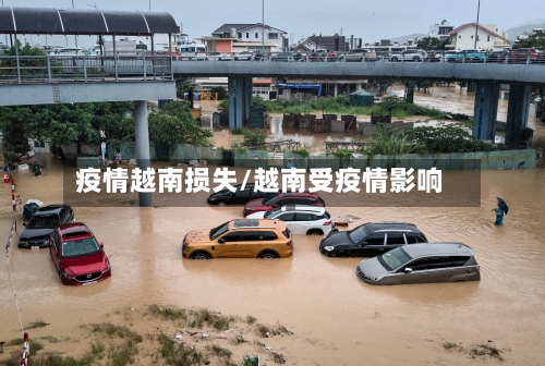 疫情越南损失/越南受疫情影响-第2张图片