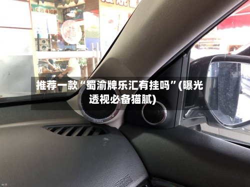 推荐一款“蜀渝牌乐汇有挂吗	”(曝光透视必备猫腻)-第1张图片
