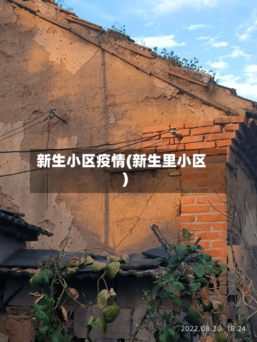 新生小区疫情(新生里小区)-第2张图片