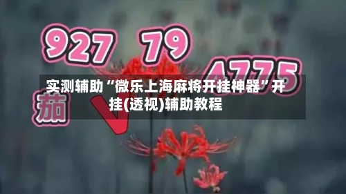 实测辅助“微乐上海麻将开挂神器”开挂(透视)辅助教程-第1张图片