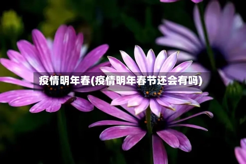 疫情明年春(疫情明年春节还会有吗)