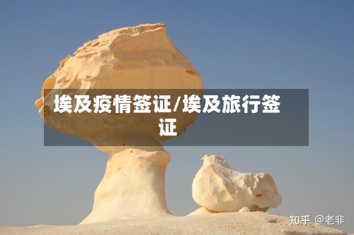埃及疫情签证/埃及旅行签证