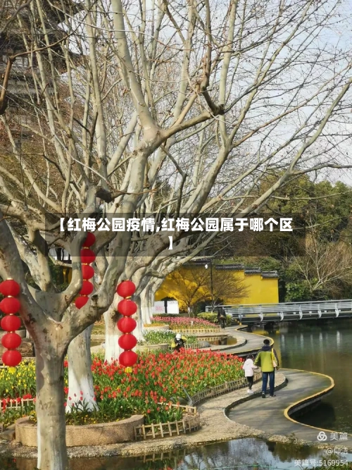 【红梅公园疫情,红梅公园属于哪个区】-第1张图片