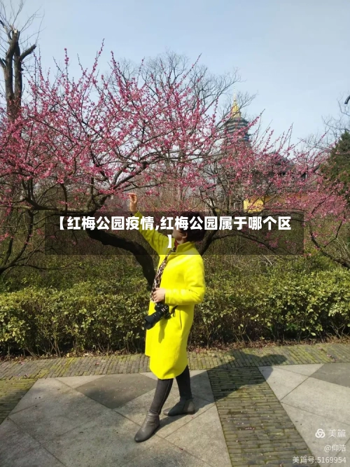 【红梅公园疫情,红梅公园属于哪个区】-第2张图片